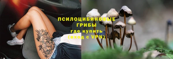 соль ск Алзамай