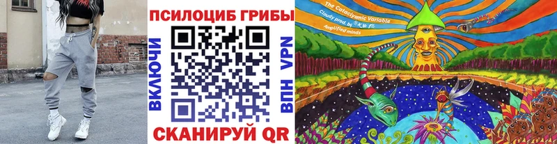 Псилоцибиновые грибы Cubensis Багратионовск